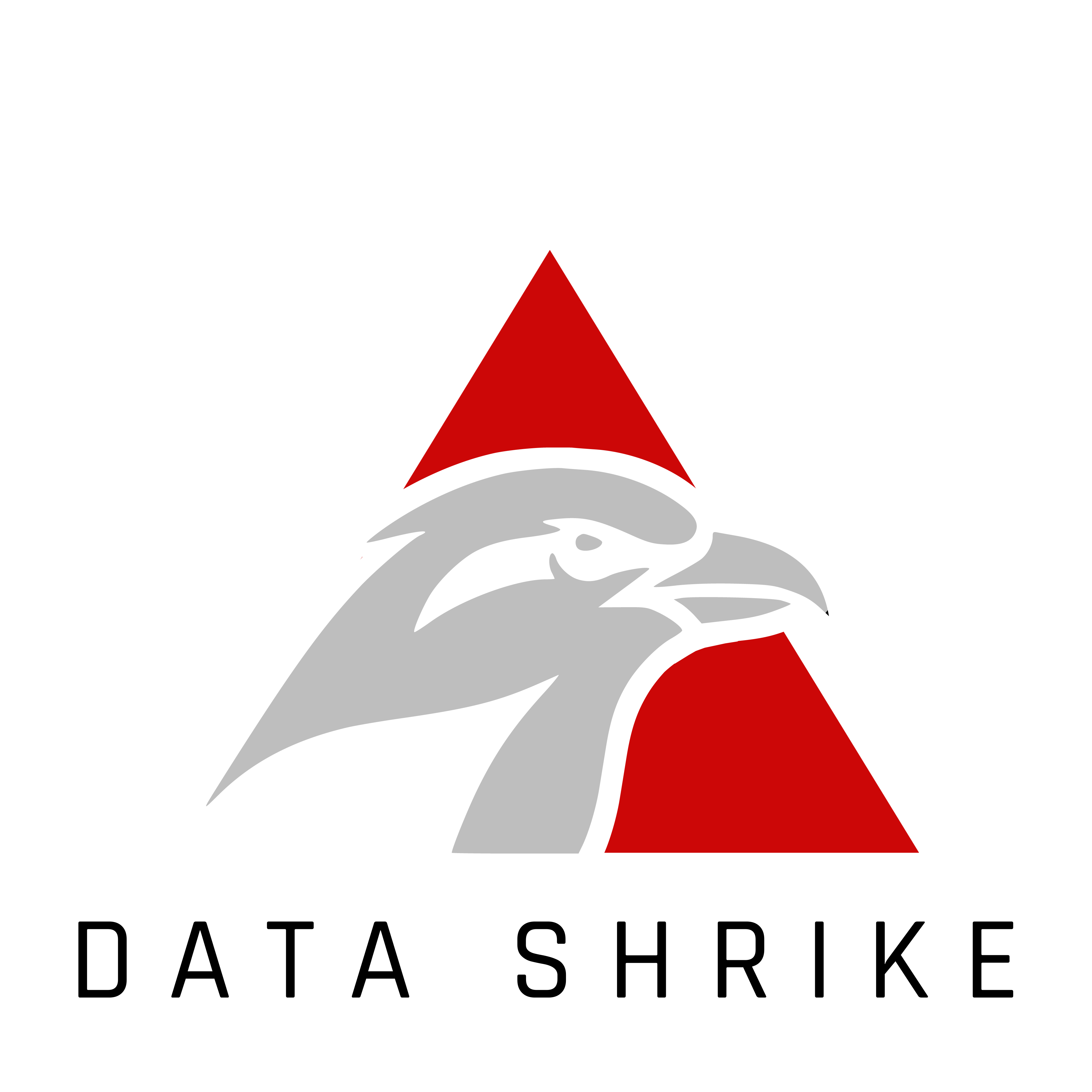 Data Shrike Logo